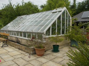 Robinson Greenhouses can be custom cut to fit most exsisting walls