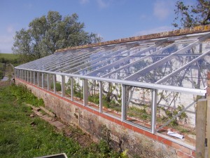 10 x 44 custom Robinson